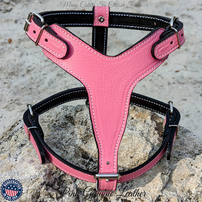 Pink leather dog best sale harness