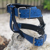Y04 - Maltese Cross Studded Leather Harness