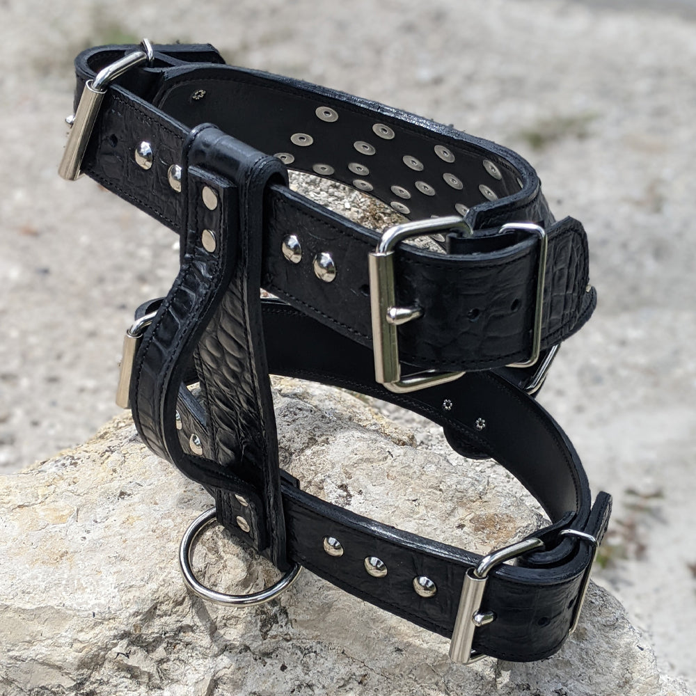 Y20 - Studded Leather Dog Harness