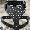 Y20 - Studded Leather Dog Harness