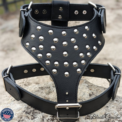 Y20 - Studded Leather Dog Harness