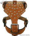 Y20 - Studded Leather Dog Harness - 9