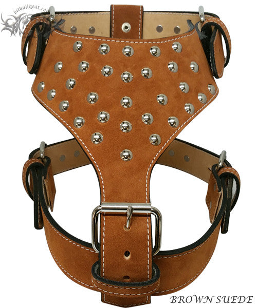 Designer leather dog harness hotsell