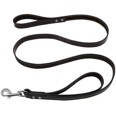 Dual Handle Leather Dog Leash - 1' Wide