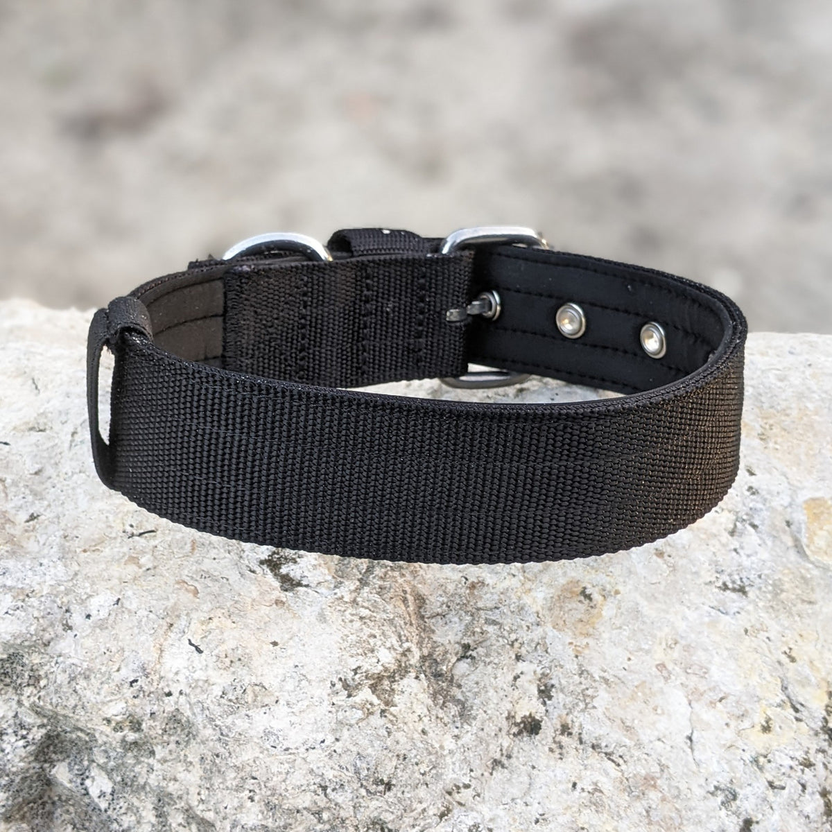 Heavy Duty Nylon Dog Collar Padded - 1.5" (4cm)