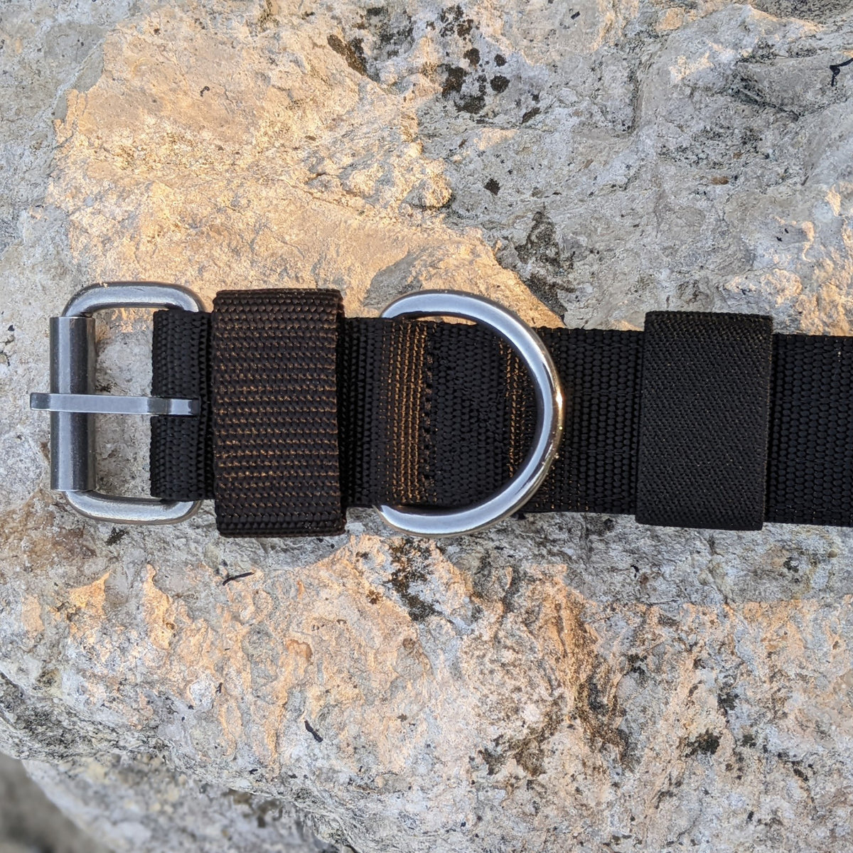 Heavy Duty Nylon Dog Collar Padded - 1.5" (4cm)