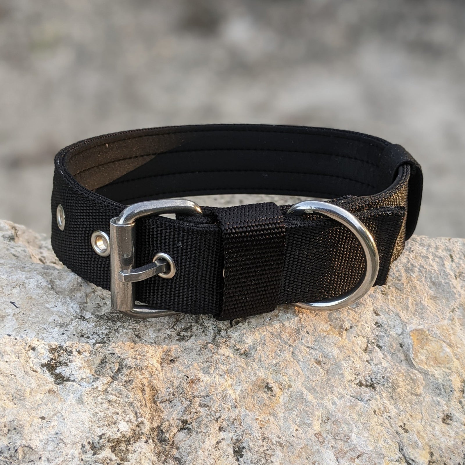 Heavy Duty Nylon Dog Collar Padded - 1.5" (4cm)