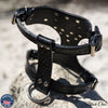 FBH5 - French Bulldog Personalized Cone Studded Leather Harness