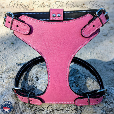 French Bulldog Leather Harness