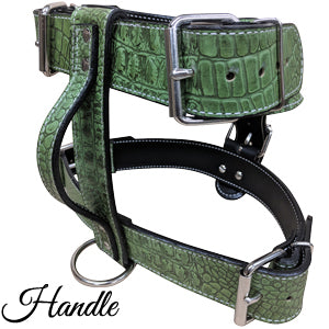 Handle