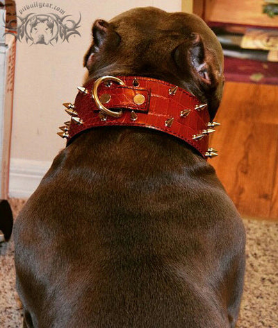 J10 - 2 1/2" Spiked Leather Dog Collar - Pit Bull Gear