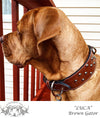 J38 - 2 1/2" Studded Leather Dog Collar - Pit Bull Gear