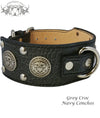 J6 - 2 1/2" Military Themed Studded Leather Dog Collar - 4