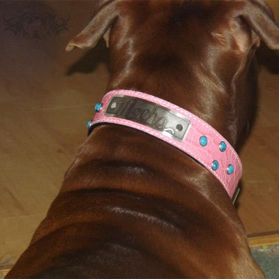 N11 - Name Plate 1 1/2" Wide Leather Dog Collar w/Gems - 3