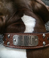 N12 - 2" Name Plate Studded Leather Dog Collar - 10