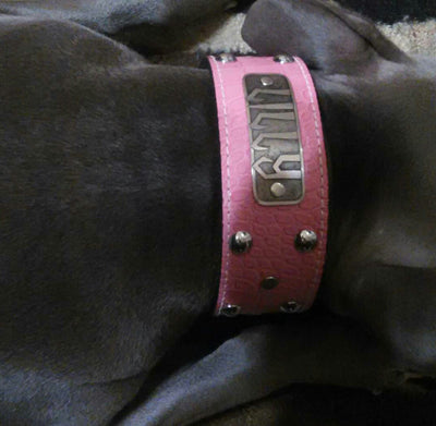 N12 - 2" Name Plate Studded Leather Dog Collar - 12