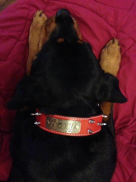 Louis Pup Monogram Leather Collar & Leash