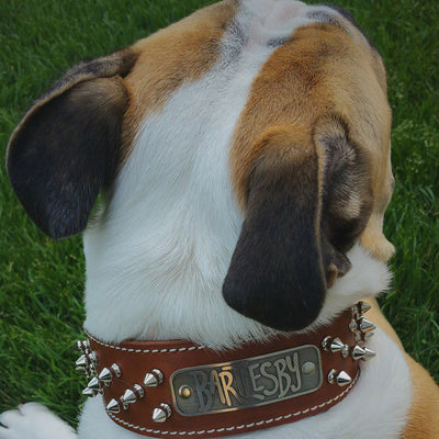 N6 - 2" Name Plate Tapered Dog Collar w/Spikes - 6