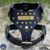 NH3 - Personalized Studded Leather Harness