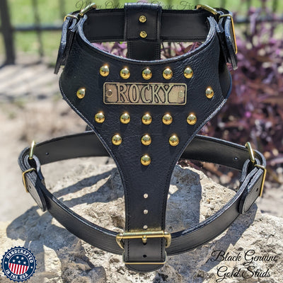 NH3 - Personalized Studded Leather Harness