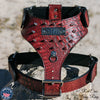 NH8 - Name Plate Cone Spiked Leather Harness