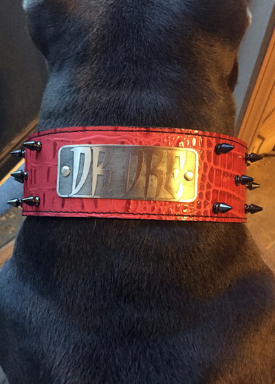 NJ1 - 2 1/2" Name Plate Spiked Collar - 2