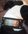 NJ3 - 2 1/2" Name Plate Studded Dog Collar - 3