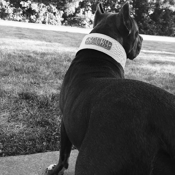 NX5 - 3" Wide Leather Dog Collar with Engraved Name Plate