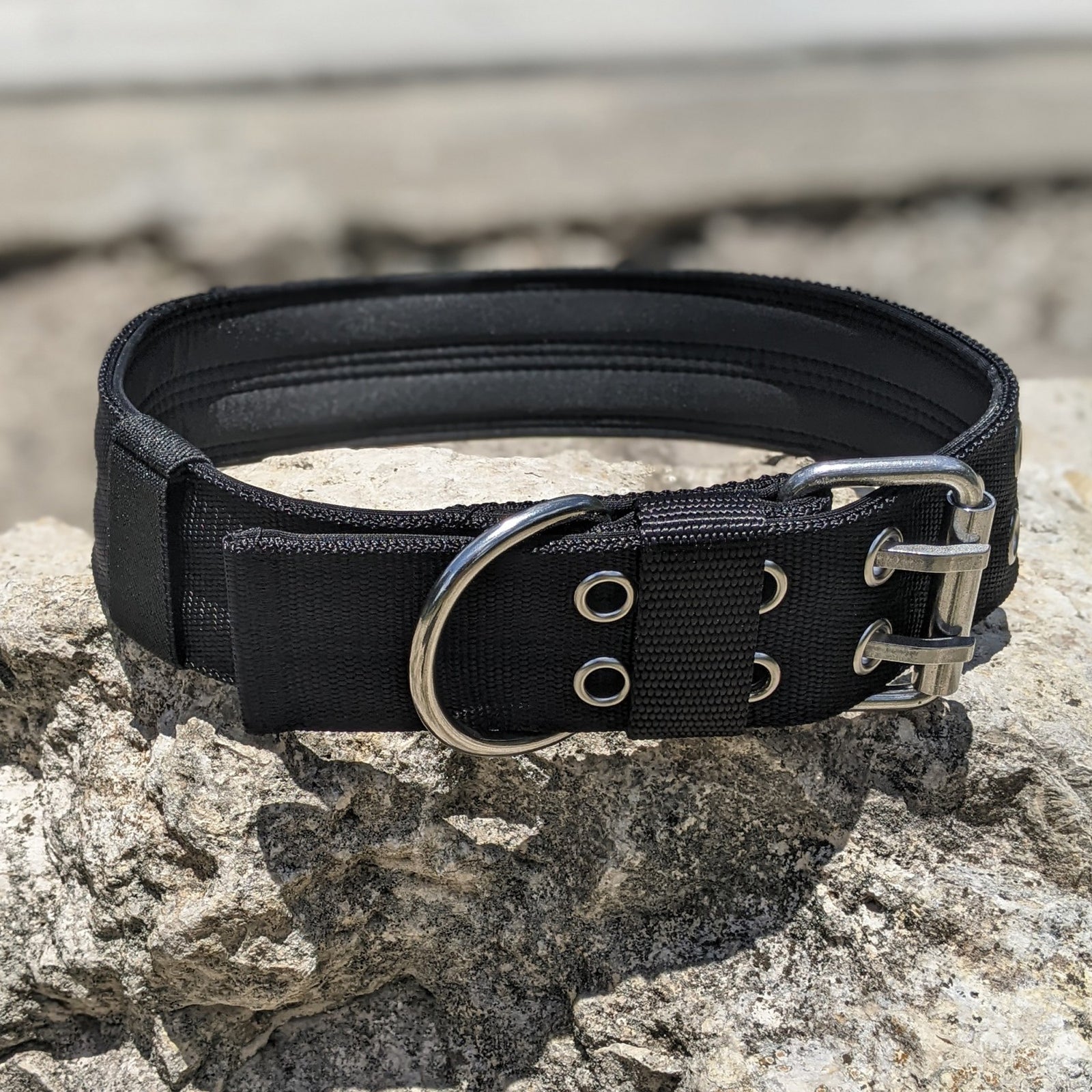 Heavy Duty Double Prong Nylon Dog Collar Padded - 2" (5cm)