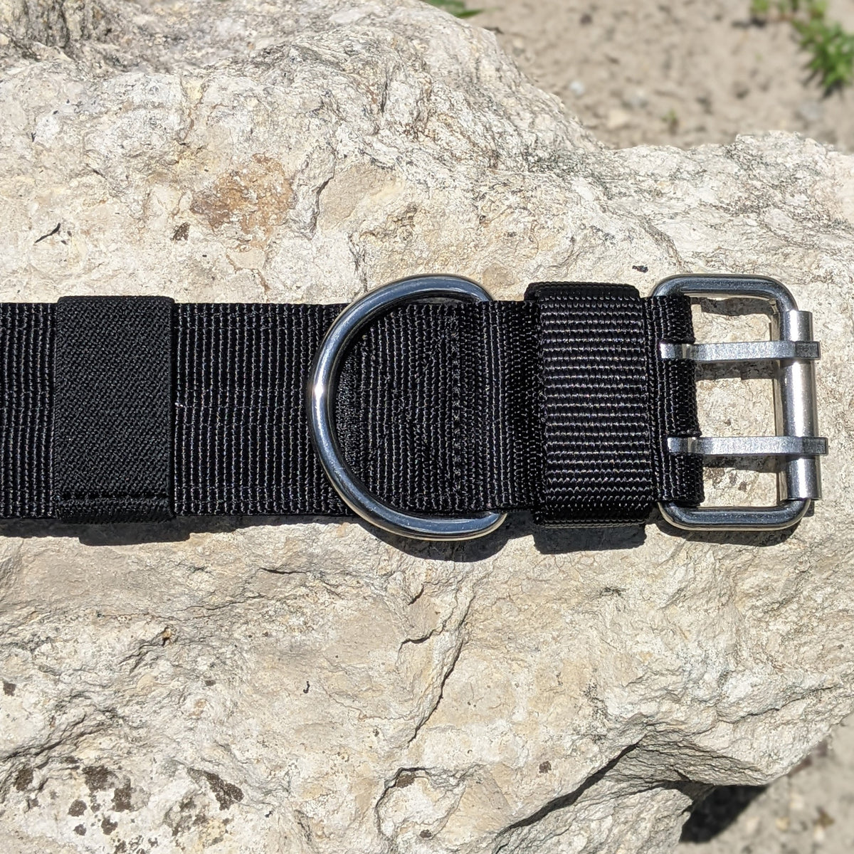 Heavy Duty Double Prong Nylon Dog Collar Padded - 2" (5cm)