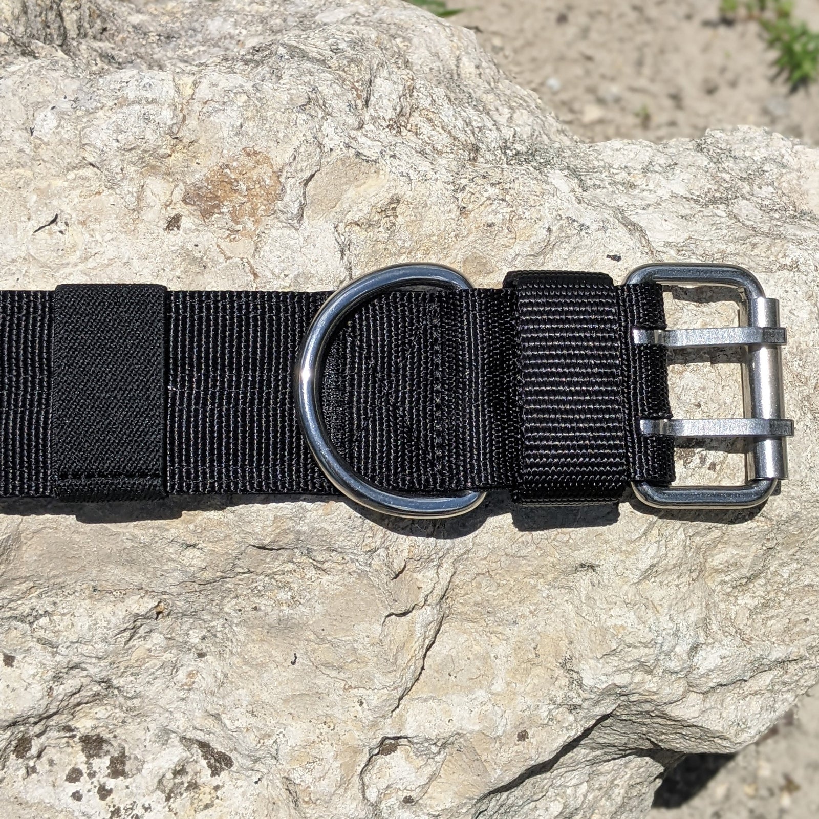 Heavy Duty Double Prong Nylon Dog Collar Padded - 2" (5cm)