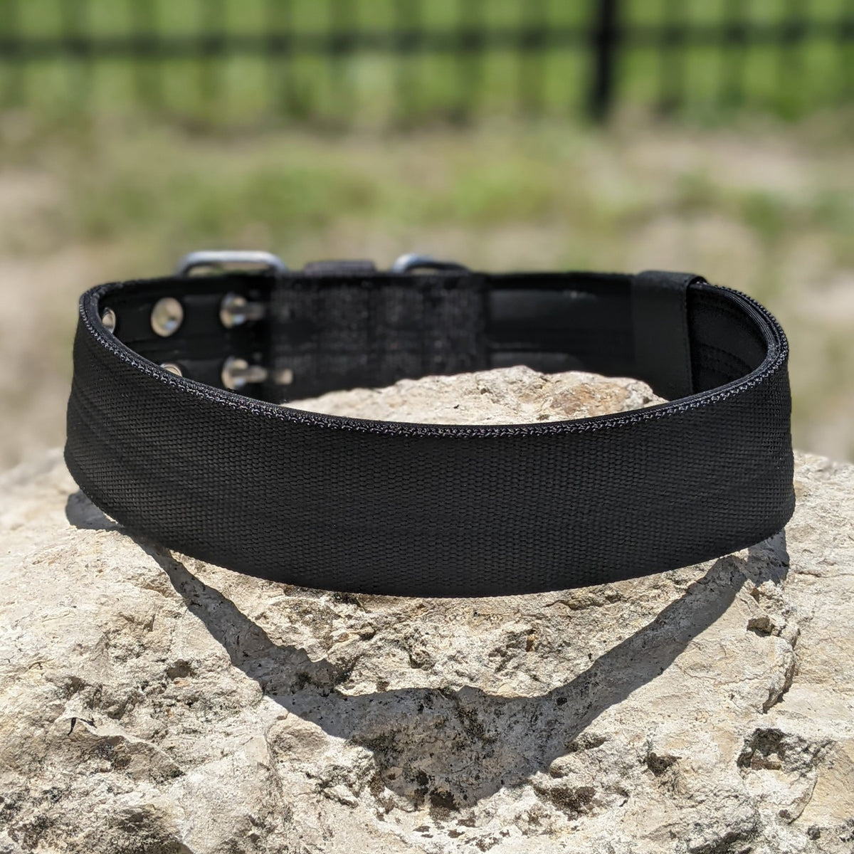 Heavy Duty Double Prong Nylon Dog Collar Padded - 2" (5cm)