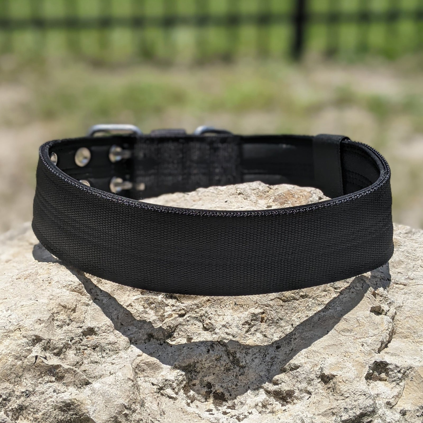 Heavy Duty Double Prong Nylon Dog Collar Padded - 2" (5cm)