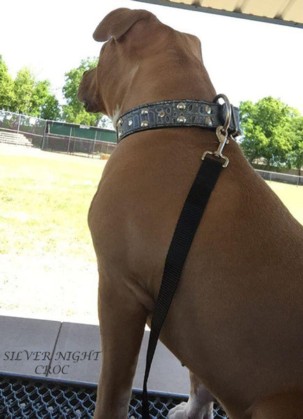 V15 - Coleira de cachorro de couro cravejado de 1 1/2"