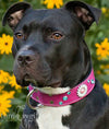V39 - 1 1/2" Daisy & Gems Leather Dog Collar - 1