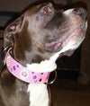 V39 - 1 1/2" Daisy & Gems Leather Dog Collar - 4