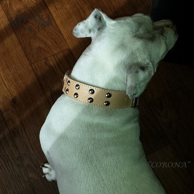 V6 - 1 1/2" Studded Leather Dog Collar - 3