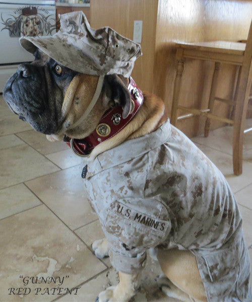 W76 - 2" Marine Corps Theme Leather Dog Collar - 1