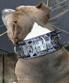 X21 - 3" Bully Spiked Leather Dog Collar - 1