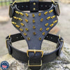 Y51 - Spiked Leather Dog harness